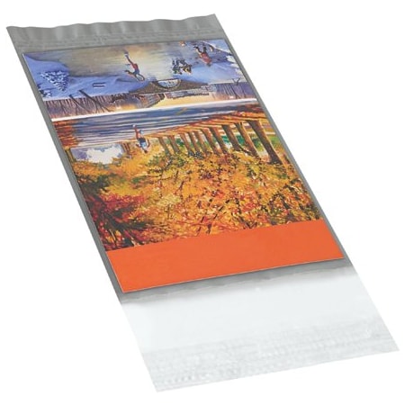 Bsc Preferred 5 x 7'' Clear View Poly Mailers, 100PK BUY00026268